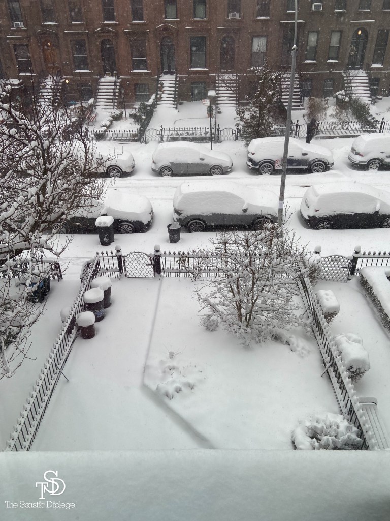 The morning of the blizzard this past weekend. A view from the window of a block and parked cars blanketed in clean, undisturbed snow. My logo is in the bottom corner in white.