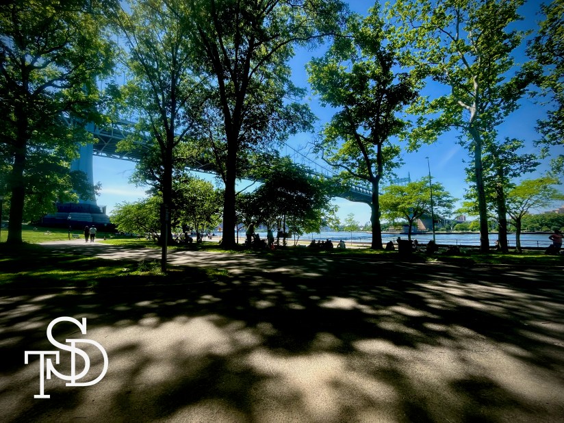 A landscape photo in a city park. A bridge is in the background against a bright blue sky. There are trees, their shadows, and people walking.