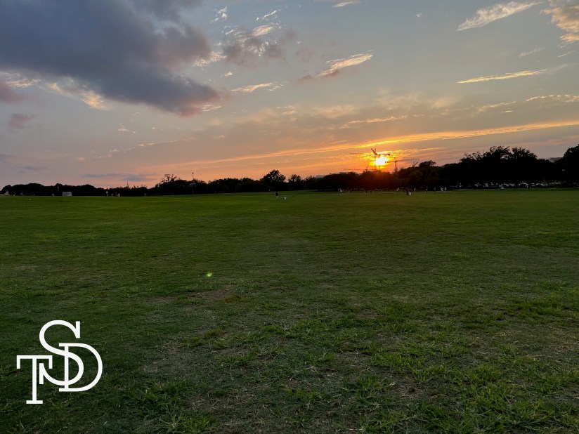 An open field of grass with the sun setting in the background. My logo, the letters T, S, D, are in the bottom left corner in white.